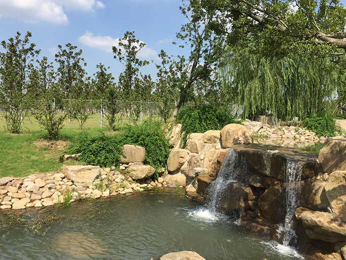 江蘇大陽山國家森林公園植物園二期景觀綠化工程二標段